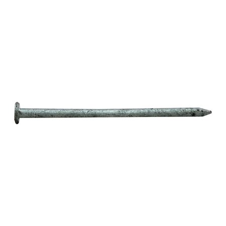 NATIONAL NAIL Common Nail, 2-1/2 in L, 8D, Hot Dipped Galvanized Finish 0054158